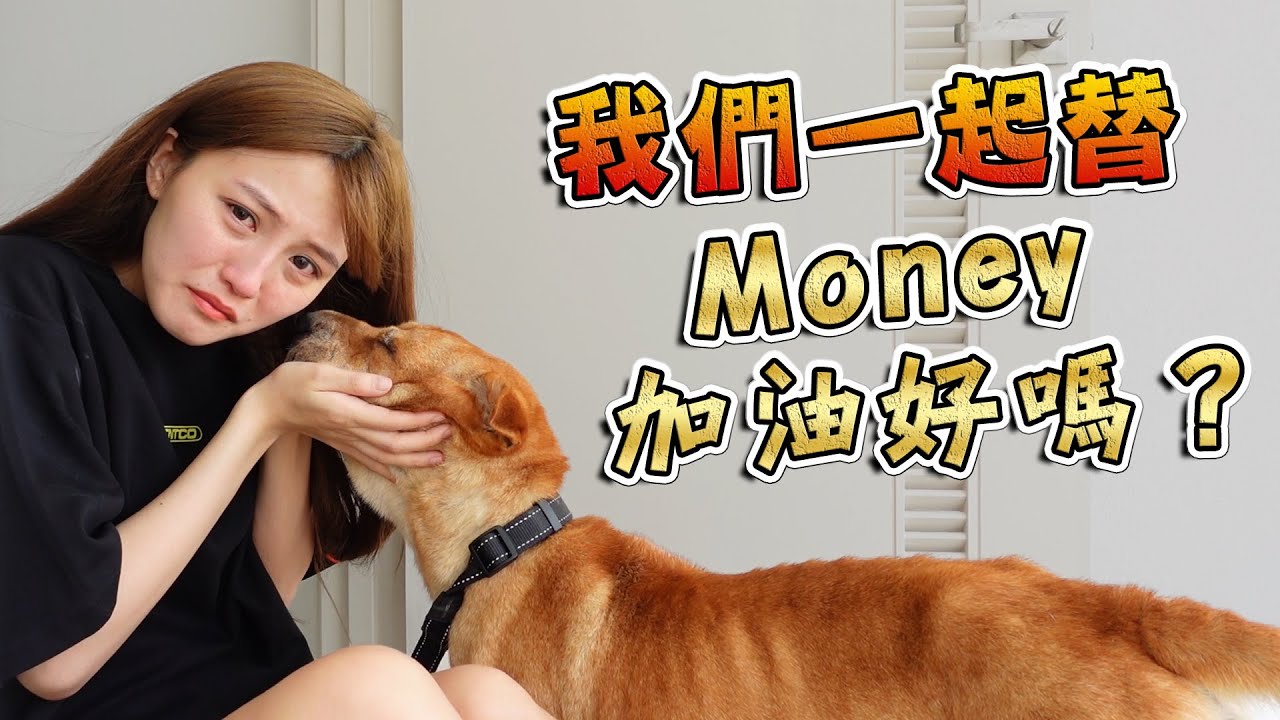 韩晓嗳从小到大都很喜欢狗，因此饲养过很多的狗，爱犬Money的离世对她的打击不小。
