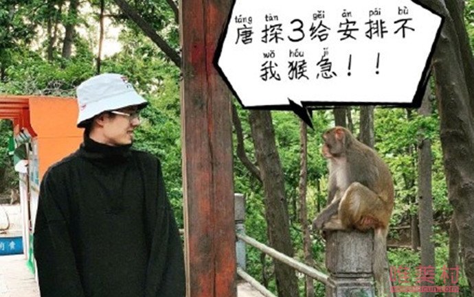 刘昊然和猴子对视怎么回事 一波网友看图配字的神操作正赶来